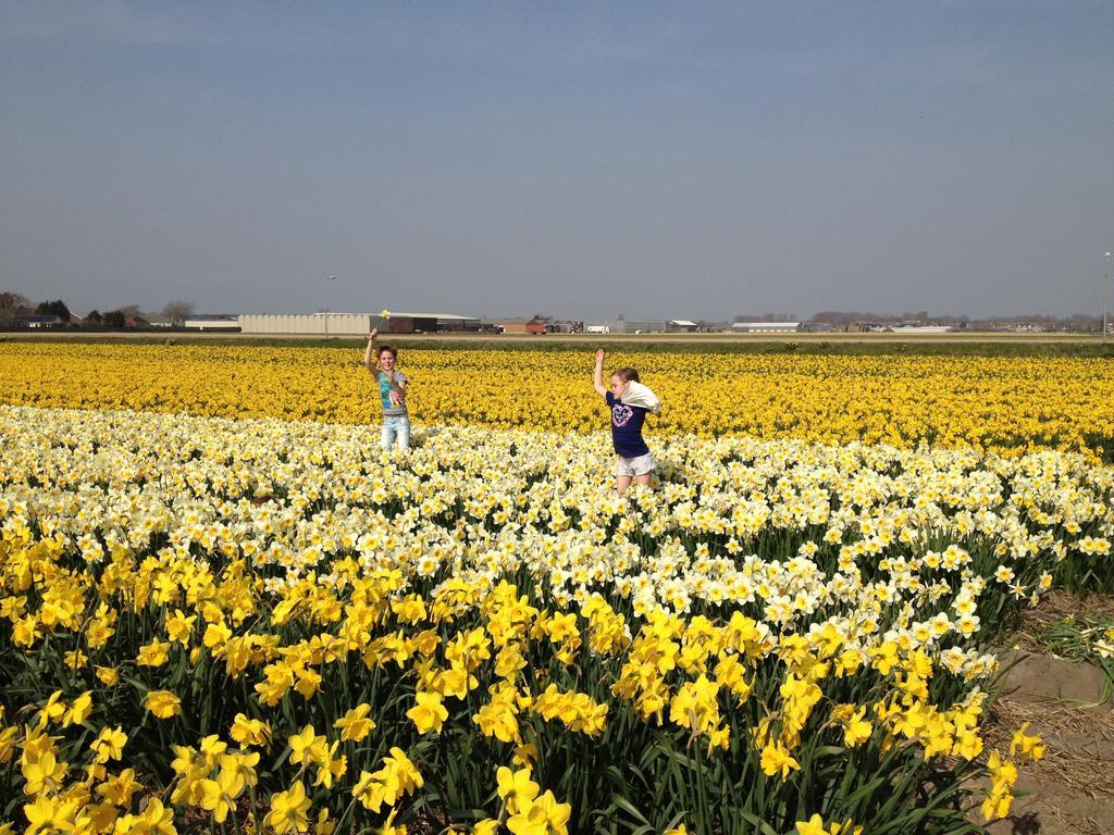 Nicolette Apartments Katwijk aan Zee Dış mekan fotoğraf
